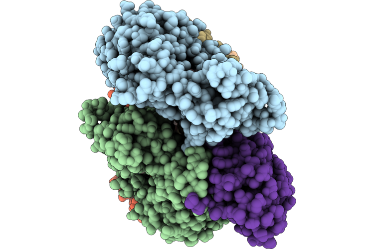 9ZZJ image