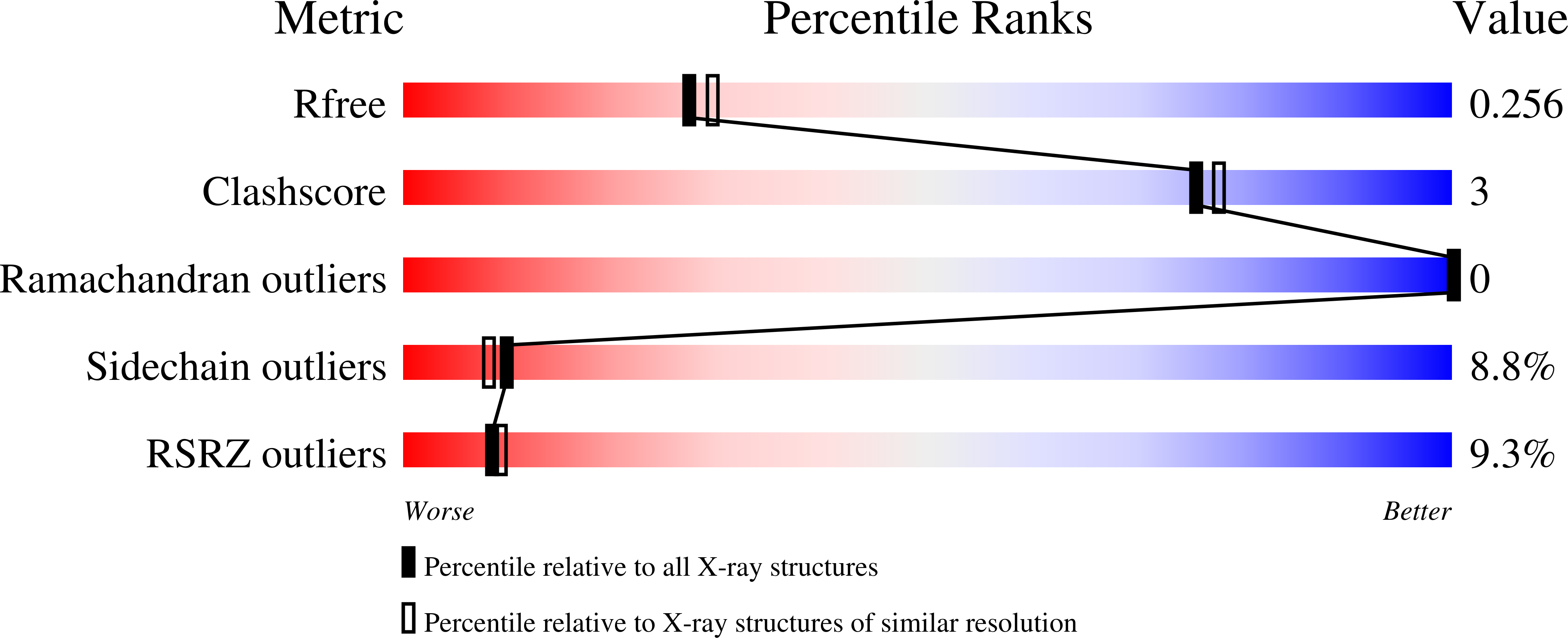 1XMI validation report
