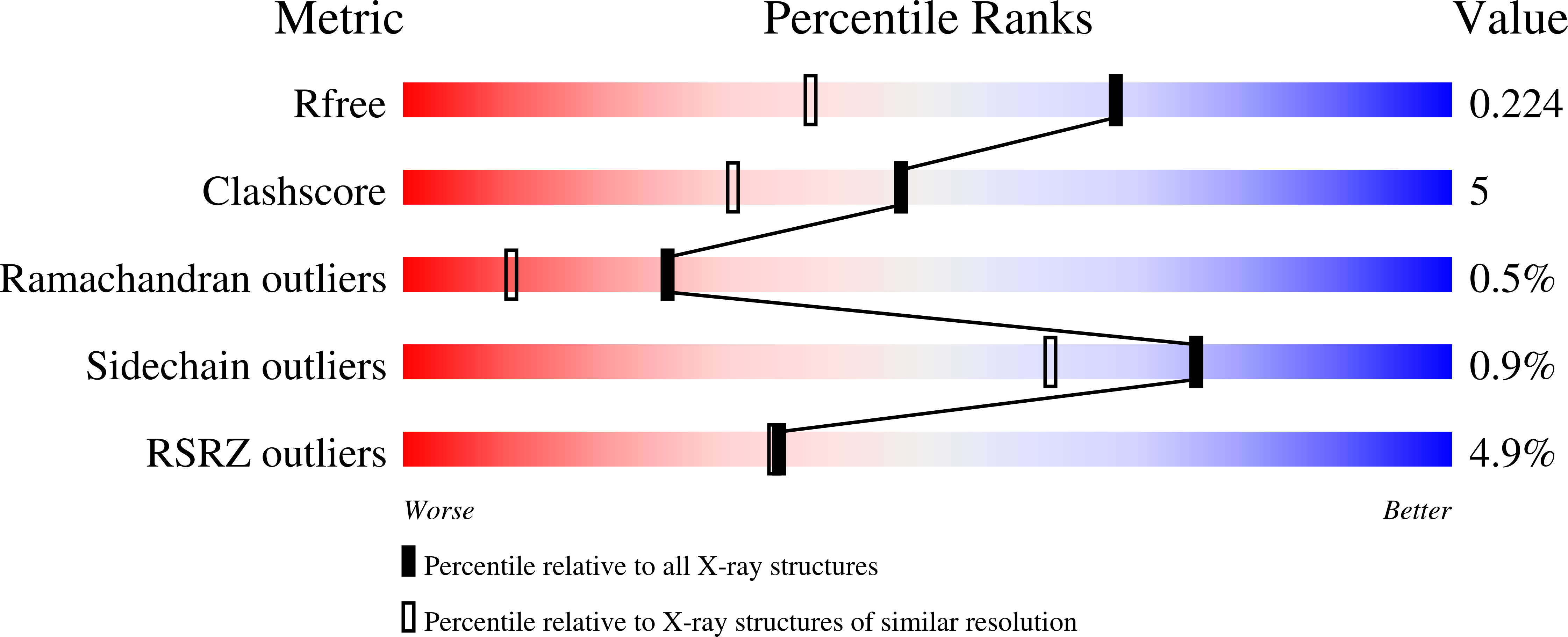 2VIZ validation report