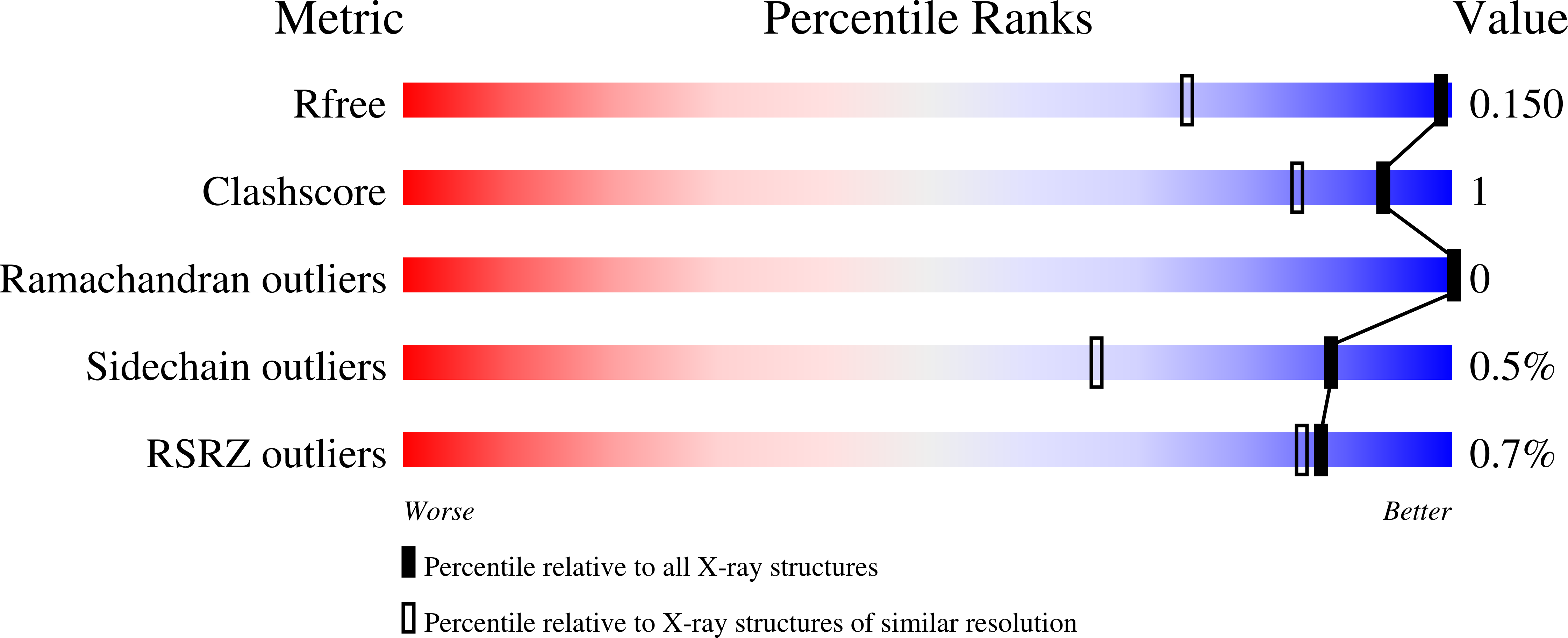 6Y5T validation report