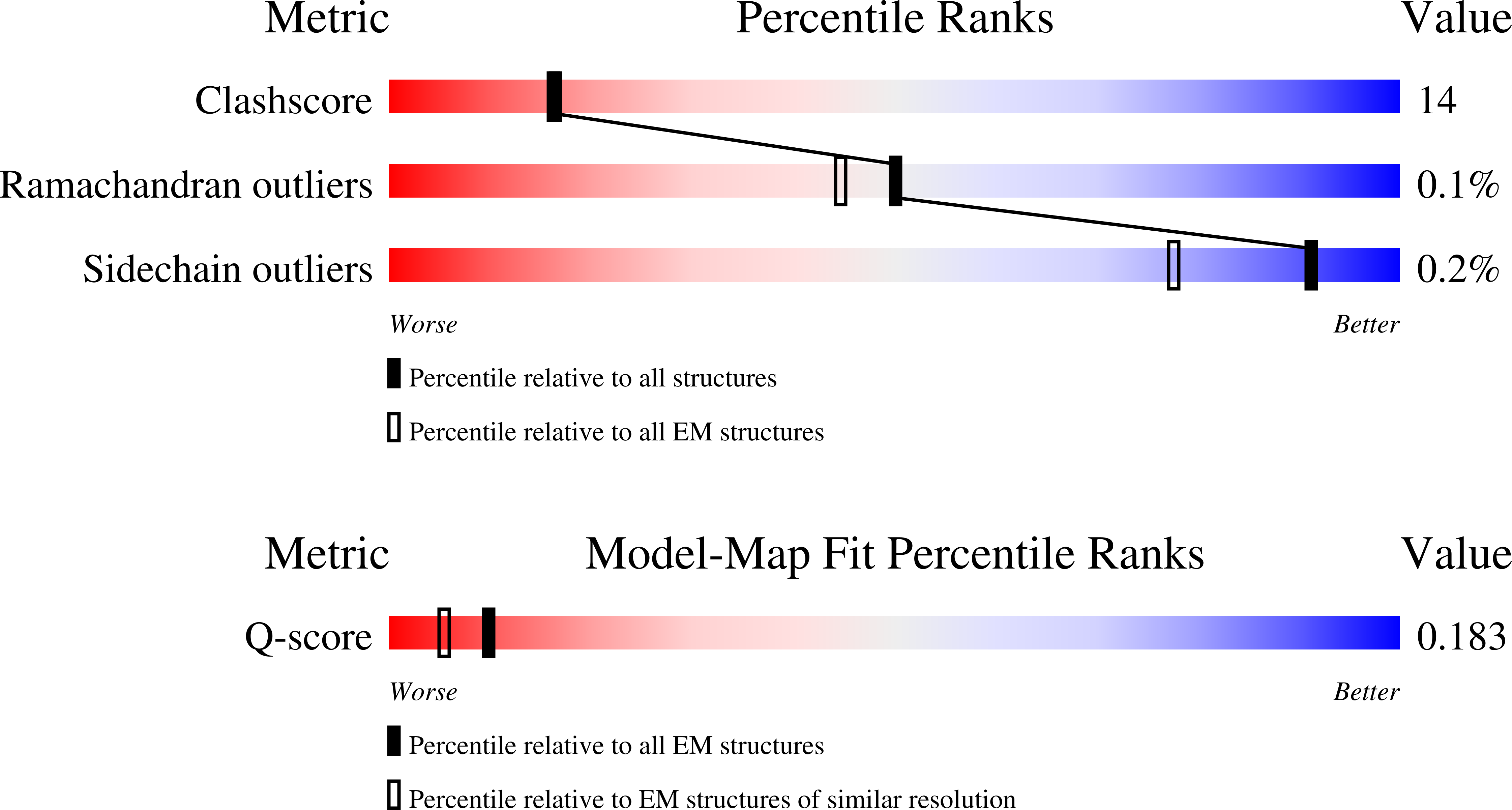 9YNG validation report