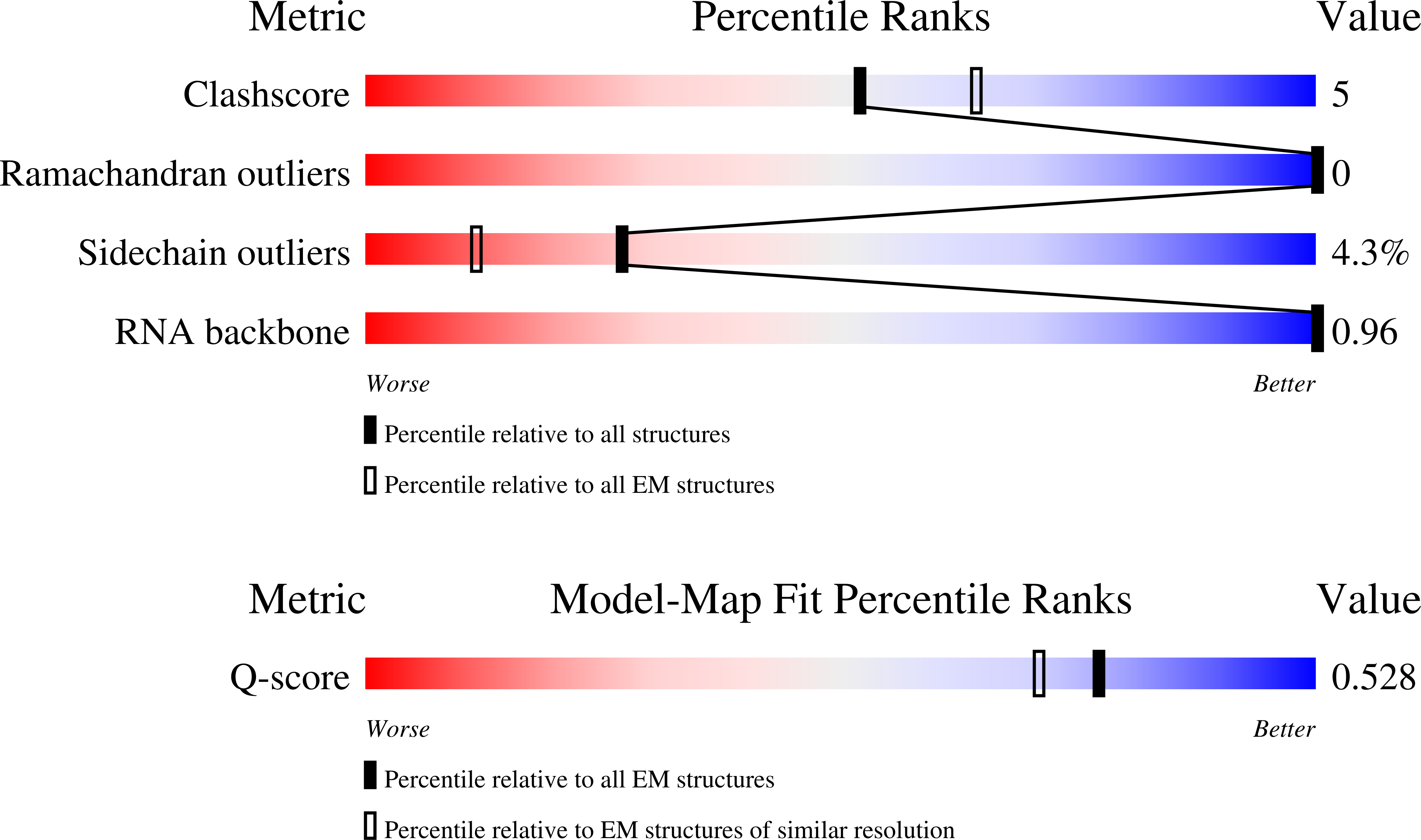 9YNP validation report